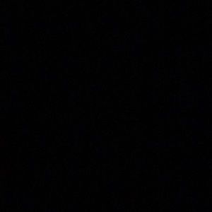 Meet your Posher, Ann